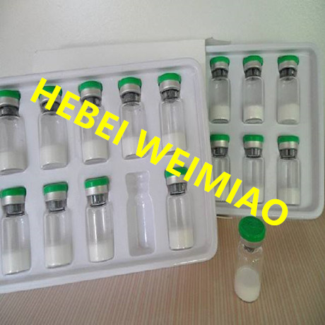 Pharmaceutical Intermediates: The Critical Building Blocks of API Production