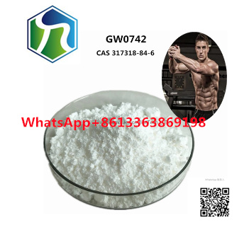 turmeric curcuma longa rhizome extract