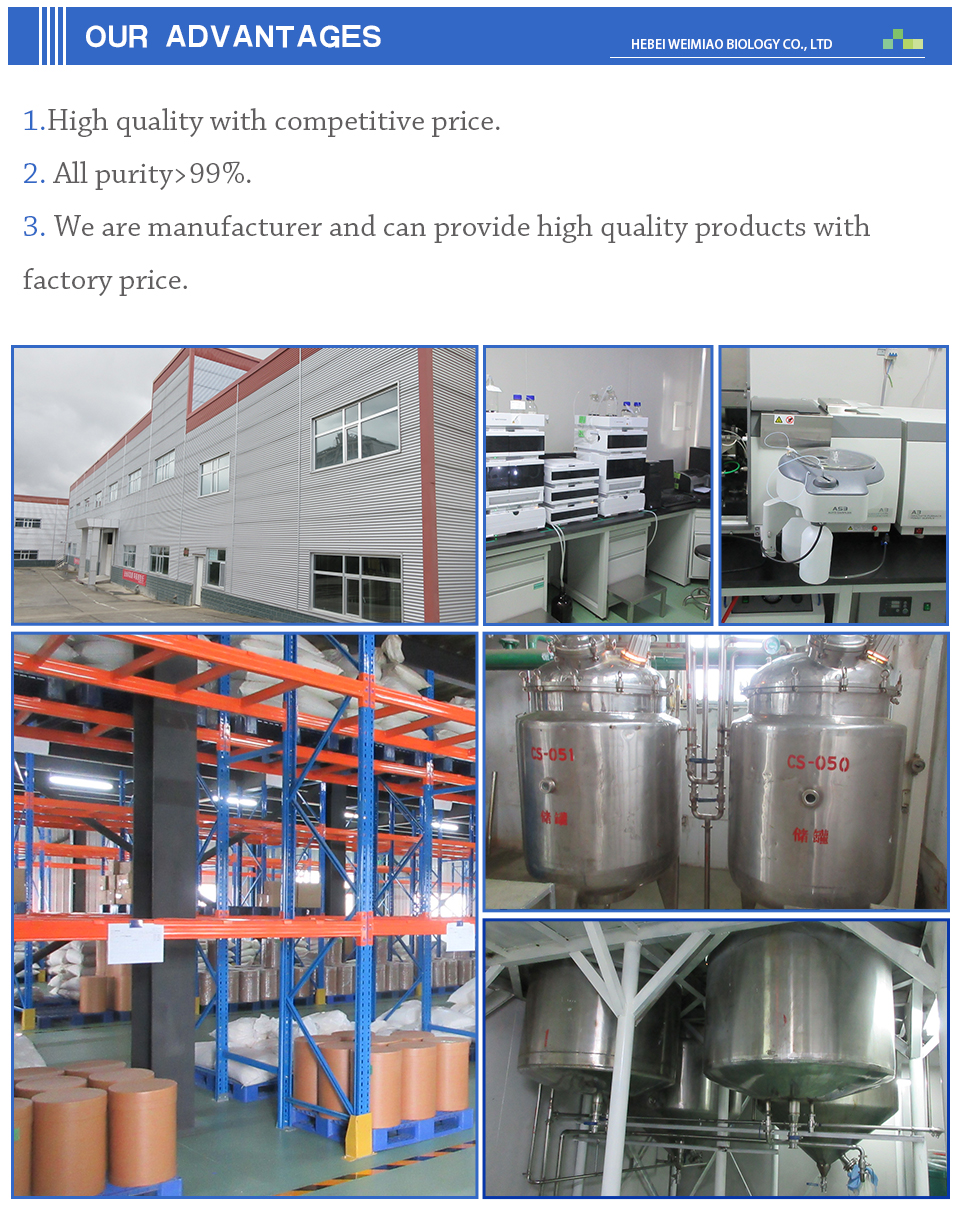 sr-9009 cas 1379686-30-2 factory